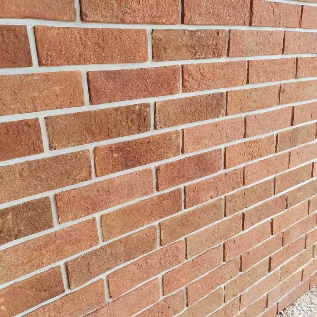 FB_IMG_1724428893544